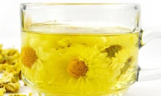 菊花茶怎么选 菊花茶怎么选比较好