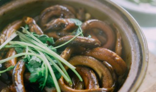 家常鳝鱼怎么做 家常鳝鱼怎么做好吃