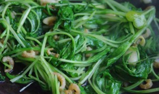 小白菜烧虾米怎么做（小白菜烧虾米怎么做才好吃）