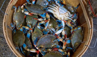 水蟹粥怎么做 水蟹粥怎么做好吃