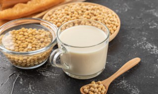 榨汁机能打豆浆吗 摩飞榨汁机能打豆浆吗