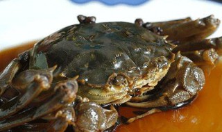大纵湖醉蟹怎么做（醉湖蟹的制作方法）