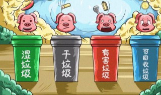 蛋壳是湿拉圾还是干拉圾 蛋壳干垃圾还是湿垃圾