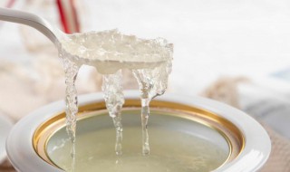 冰糖炖燕窝怎么做 冰糖炖燕窝怎么做视频