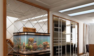 客厅放镜子风水讲究（客厅放镜子的风水学）