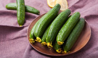凉拌小黄瓜怎么做 凉拌小黄瓜怎么做才好吃