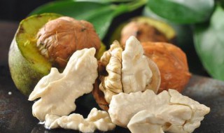 鲜核桃仁怎么保鲜 新鲜核桃仁怎么保存最好方法