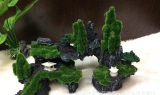 假山青苔制作最好的方法（假山青苔制作最好的方法视频）