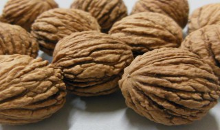 猴头核桃种植方法（猴头核桃种植方法和管理）