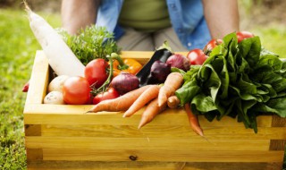 冬季青菜怎么放保鲜（冬季青菜怎么放保鲜里）