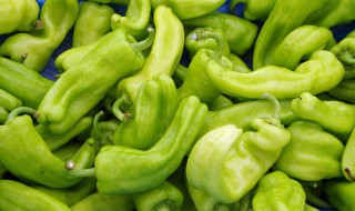 绿辣椒怎么保鲜 新鲜绿辣椒怎么储藏