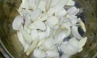 白合的功效与作用及食用方法 白合的功效与作用及食用方法及禁忌