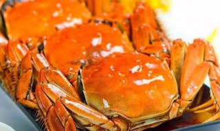 河蟹蒸多长时间最好 河蟹蒸几分钟最好