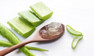 新鲜芦荟的吃法(新鲜芦荟的吃法大全)