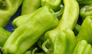 肉末烧辣椒怎么做（肉末炒辣椒怎么做）