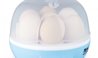 煮蛋器怎么清洁（煮蛋器怎么清洁视频）