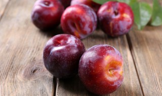 宝宝能吃李子吗 宝宝能吃李子吗皮没没有吃