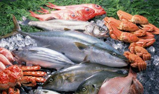 寄海鲜用什么快递 寄海鲜用哪个快递公司