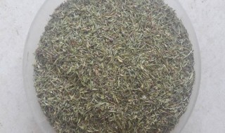 百里香是什么调料（百里香是什么调料做的）