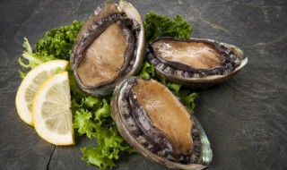 原汁鲜鲍鱼怎么做（原汁鲍鱼的做法）