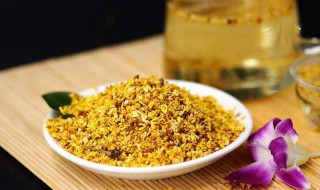 吃雪菊的功效与禁忌（喝雪菊的作用与功效与禁忌）