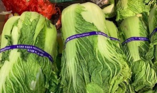 冷库储存大白菜的方法 大白菜冷冻保存方法