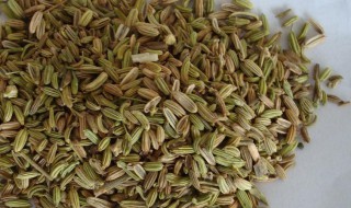 孜然和小茴香是一种东西吗（孜然和小茴香是一种东西吗）