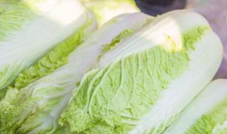 什么蔬菜可以美白（什么蔬菜可以美白皮肤）