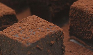 松露巧克力和生巧的区别 松露巧克力与普通巧克力的区别