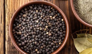黑胡椒和白胡椒哪个好