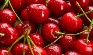 樱桃什么时候成熟季节(樱桃什么时候熟什么季节)