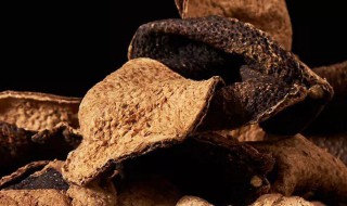 陈皮可以用新鲜的橘子皮代替吗 陈皮可以用橘子干了的皮代替吗