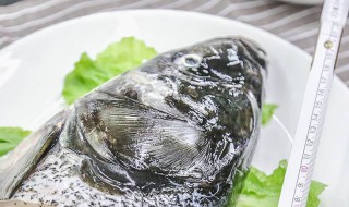 石斑鱼哪个地方有毒 石斑鱼哪个地方有毒素