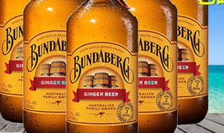 宾得宝饮料是酒吗 宾得宝饮料有酒精吗