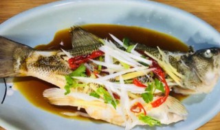 蒸草鱼的家常做法（蒸的草鱼怎么做）