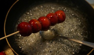 怎么熬糖浆做冰糖葫芦 怎么熬糖浆做冰糖葫芦比例