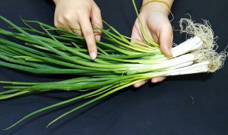 葱怎么保鲜时间长（葱怎样保存时间长）