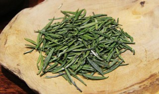 雀舌茶的功效与禁忌 喝雀舌茶的禁忌