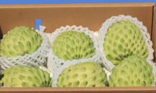 释迦果可以放冰箱吗 释迦果可以放冰箱吗多久