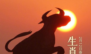 2021年犯太岁最凶的四大生肖 2021年哪些生肖犯太岁