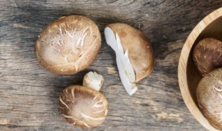 平菇长白毛了还能吃吗（冰箱里的平菇长白毛了还能吃吗）