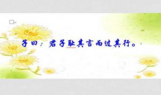 君子耻其言而过其行什么意思（君子耻其言而过其行过什么意思）