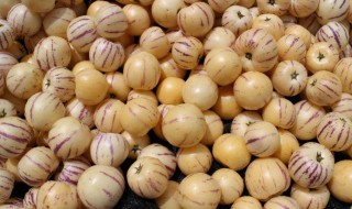 人参果能生吃吗 人参果可不可以生吃?