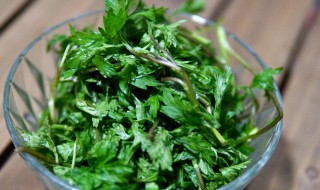 艾草怎么保存 艾草怎么保存能长久