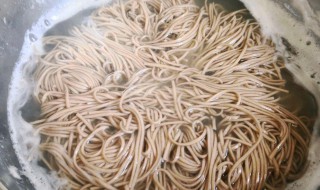 荞麦面要煮多久才熟 荞麦面要煮好久