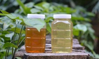 蜂蜜的保质期和储存方法 蜂蜜的保存方法及保存时间