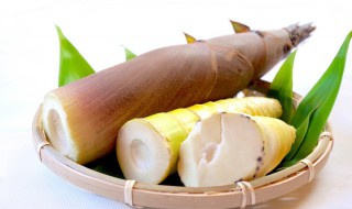 鲜笋煮熟再冷冻保存（鲜笋煮熟再冷冻保存能放多久）