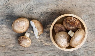 香菇鸡蛋饺子馅的做法(茴香香菇鸡蛋饺子馅的做法)