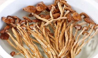 干茶树菇的做法大全家常做法 干茶树菇的做法大全家常做法图片