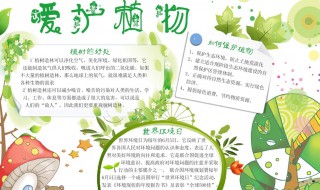 关于植物的手抄报（科学手抄报关于植物的手抄报）